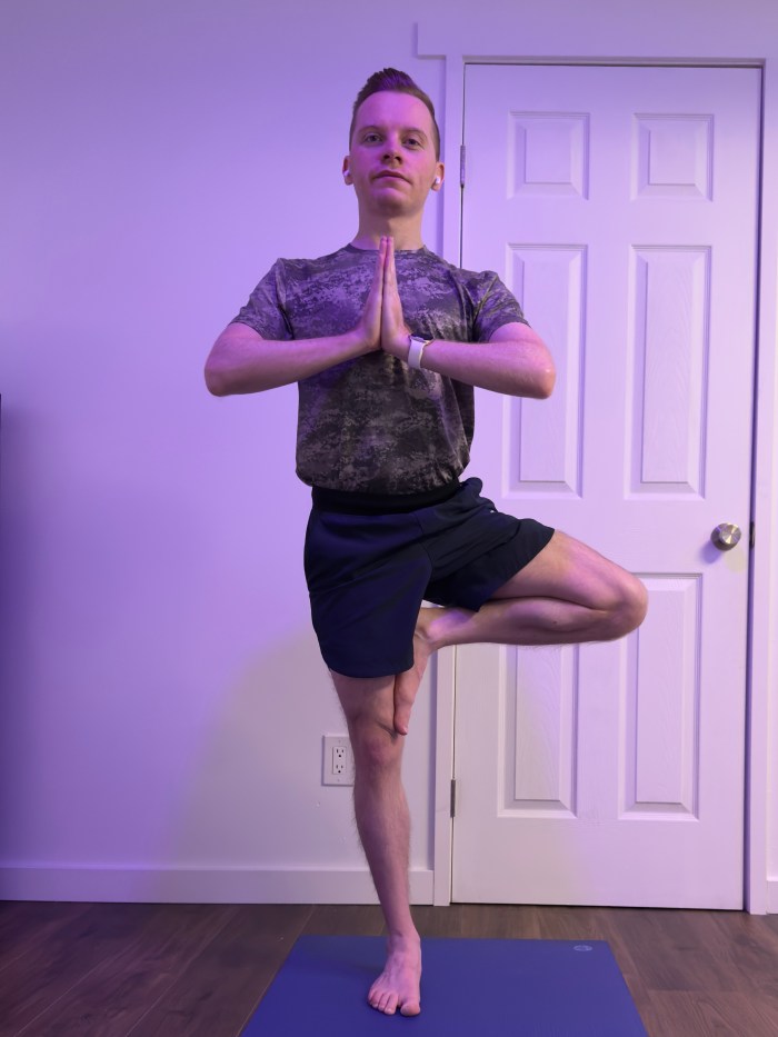 Tree Pose